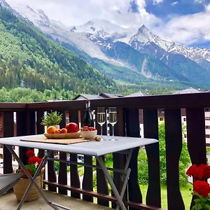 Mont Blanc 43, Vue Mont Blanc , Balcon, Parking 아파트 샤모니