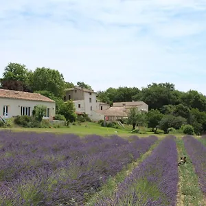 Les Anes De Gasthof